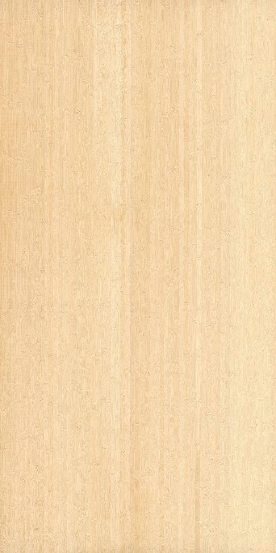 Bamboo Natural veneer