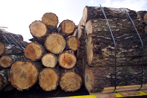timber storage